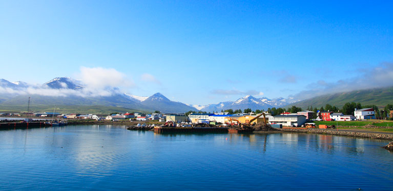 Media Image