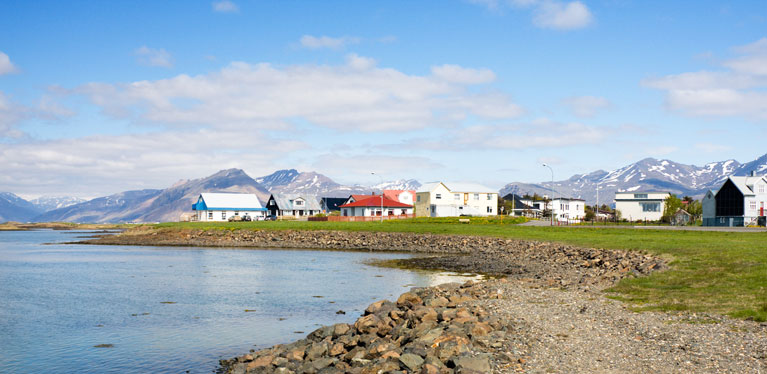 Media Image